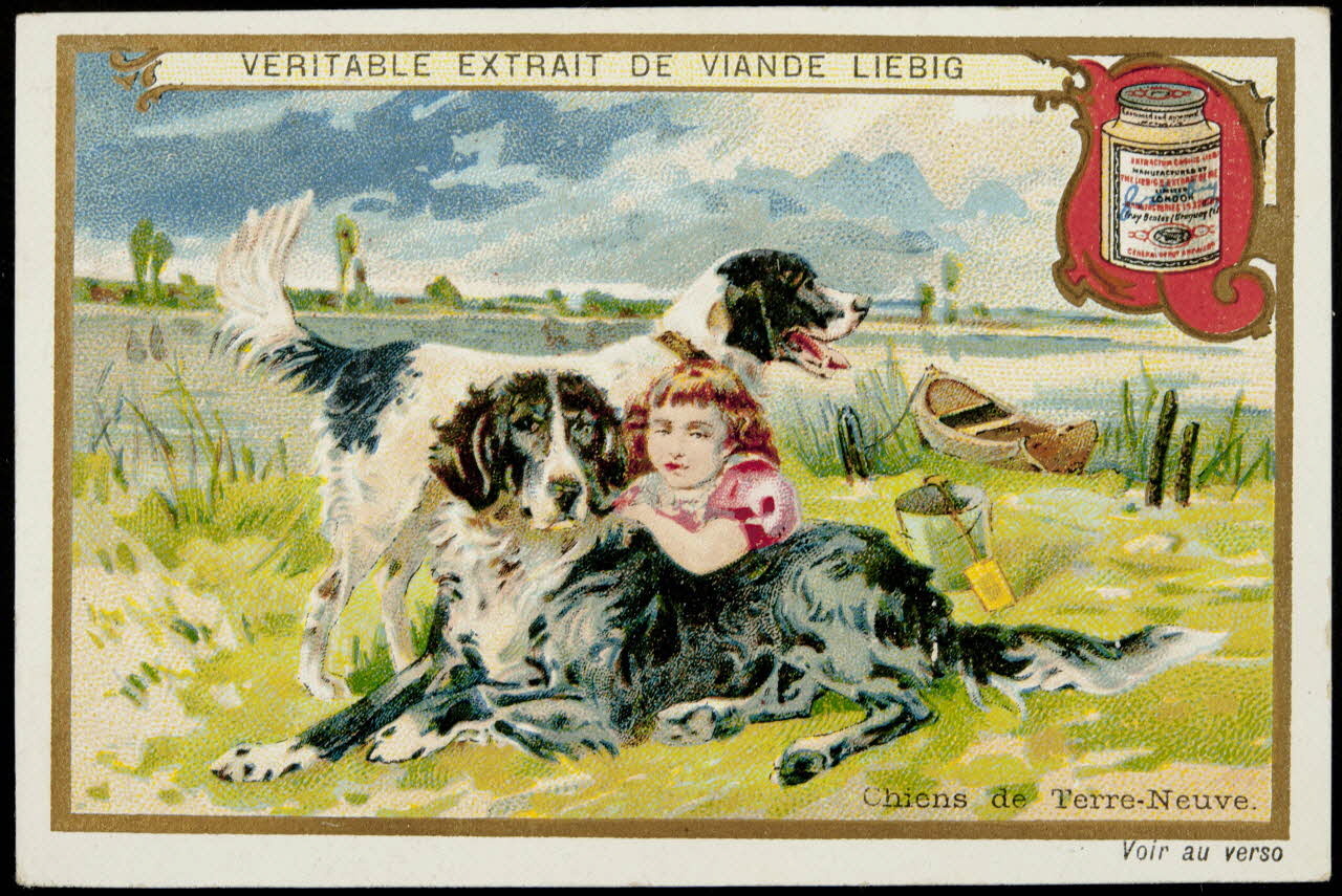 carte réclame chromo 1995.1.4613.2 Photo