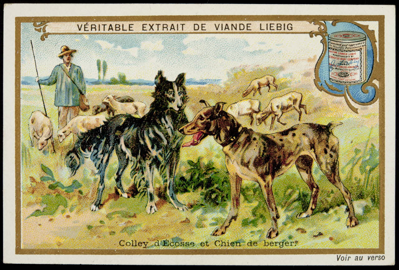 carte réclame chromo 1995.1.4613.4 Photo