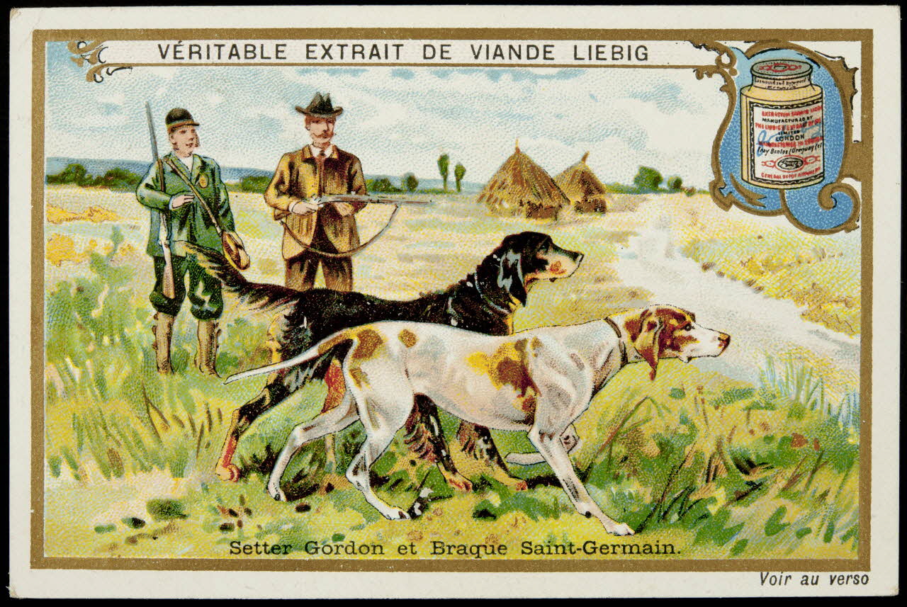 carte réclame chromo 1995.1.4613.6 Photo