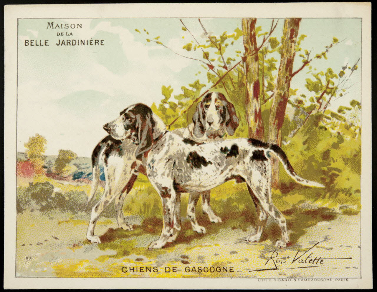 carte réclame chromo 1995.1.4639.1 Photo