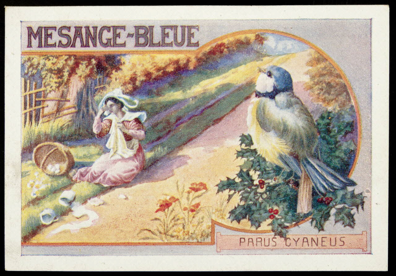 Société Lyonnaise carte réclame chromo Paris 1880 1995.1.4661.6 Photo