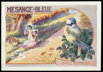 Société Lyonnaise carte réclame chromo Paris 1880 1995.1.4661.6 Photo