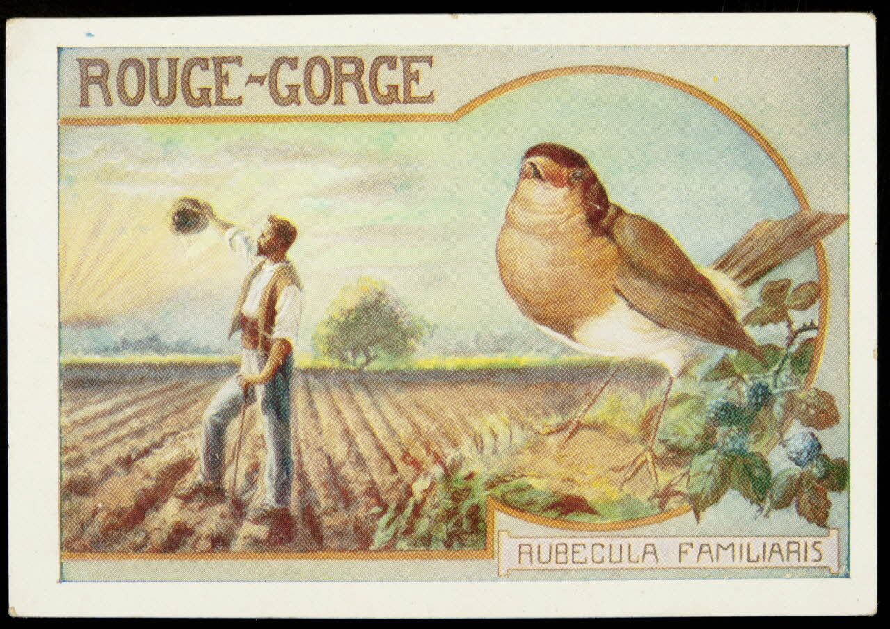 Société Lyonnaise carte réclame chromo Paris 1880 1995.1.4661.7 Photo