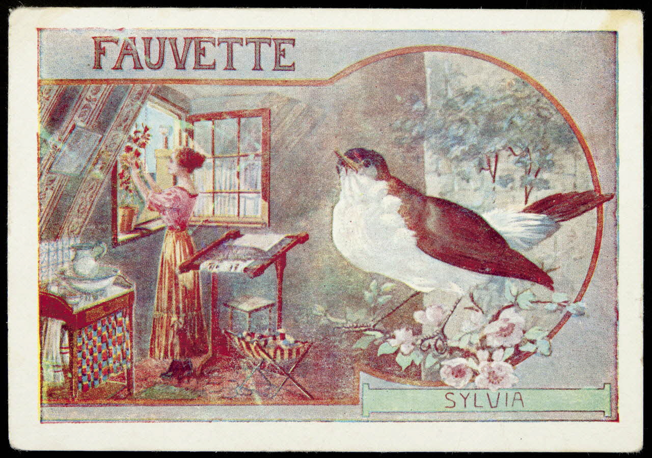 Société Lyonnaise carte réclame chromo Paris 1880 1995.1.4661.8 Photo