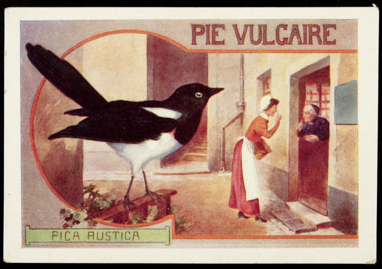 Société Lyonnaise carte réclame chromo Paris 1880 1995.1.4661.9 Photo