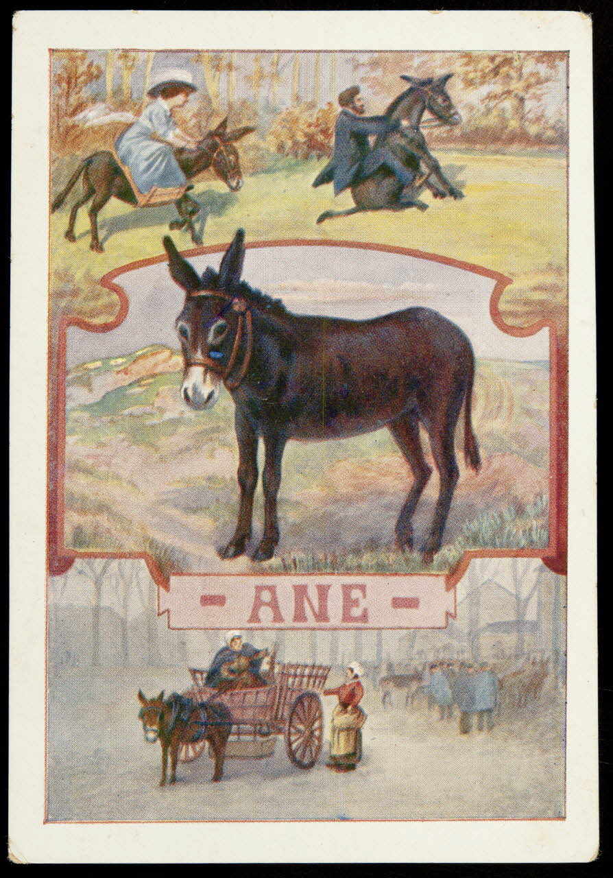 Société Lyonnaise carte réclame chromo Paris 1880 1995.1.4663.1 Photo