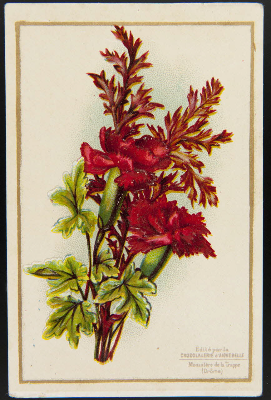 carte réclame chromo 1995.1.4770.2 Photo