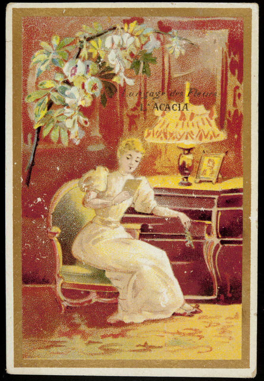 carte réclame chromo 1995.1.4828.1 Photo