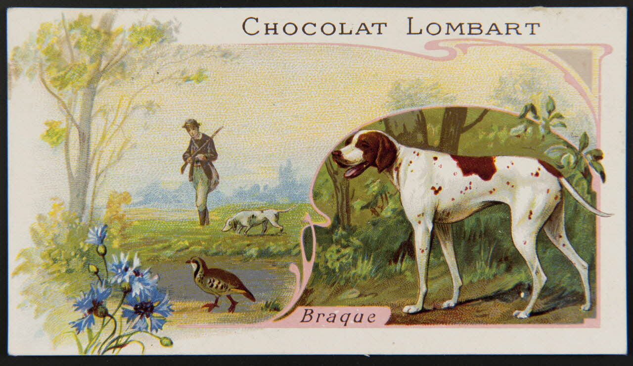 Romanet carte réclame chromo Paris 1877-1913 1995.1.484.2 Photo