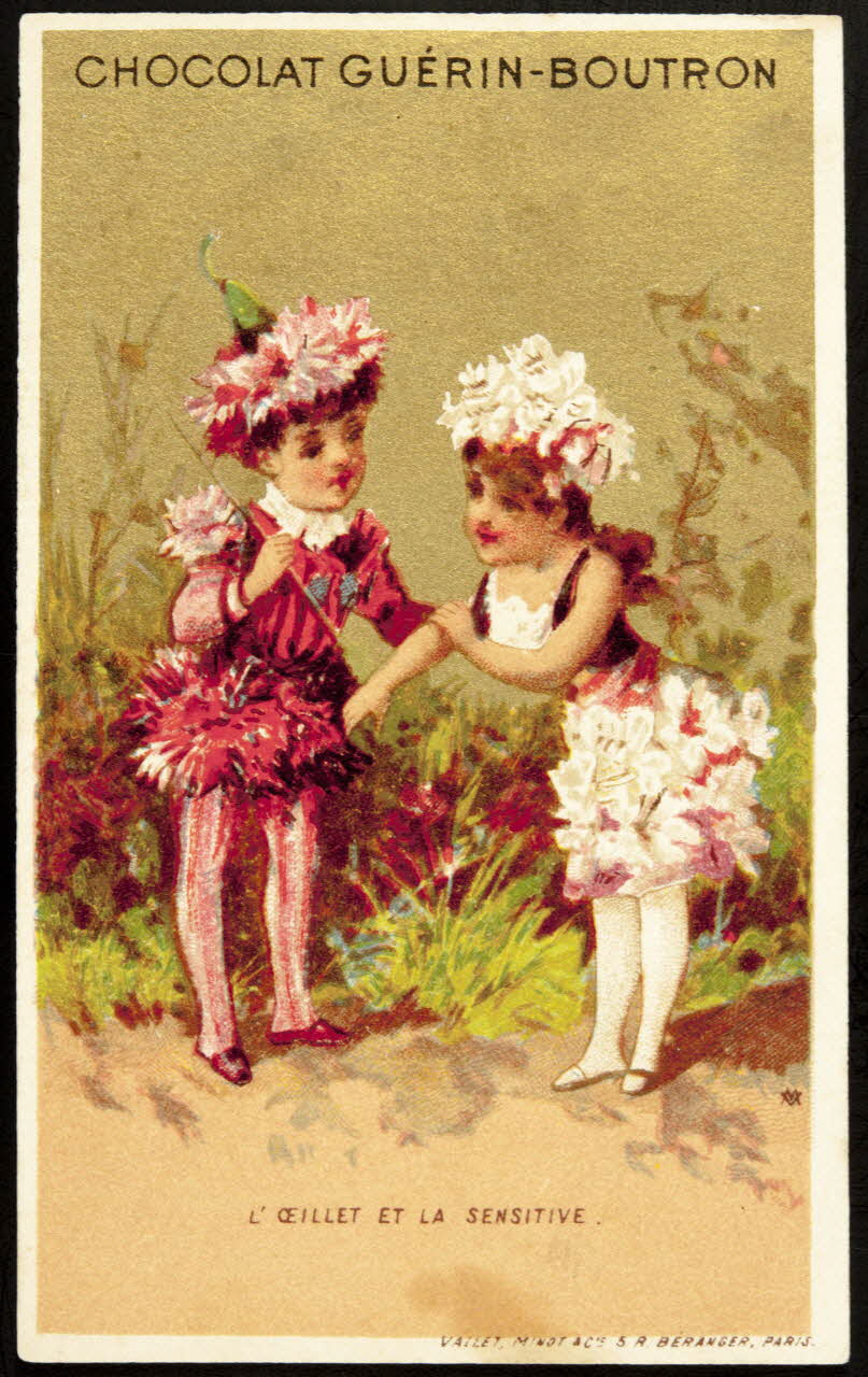 carte réclame chromo 1995.1.49.5 Photo