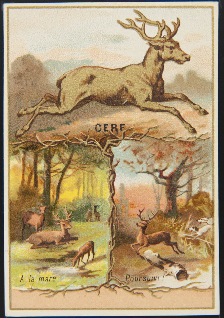 carte réclame chromo 1995.1.4905.2 Photo