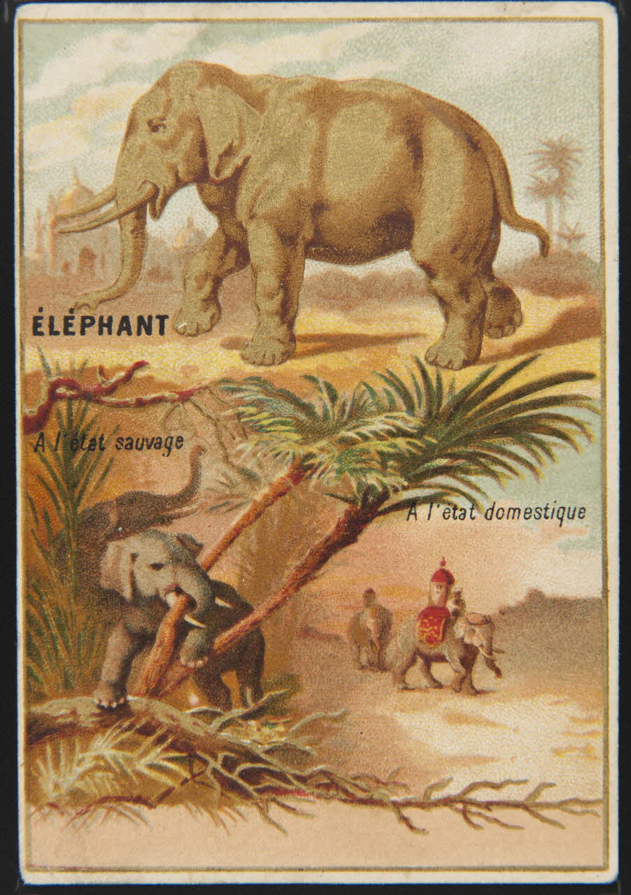 carte réclame chromo 1995.1.4905.4 Photo Mucem