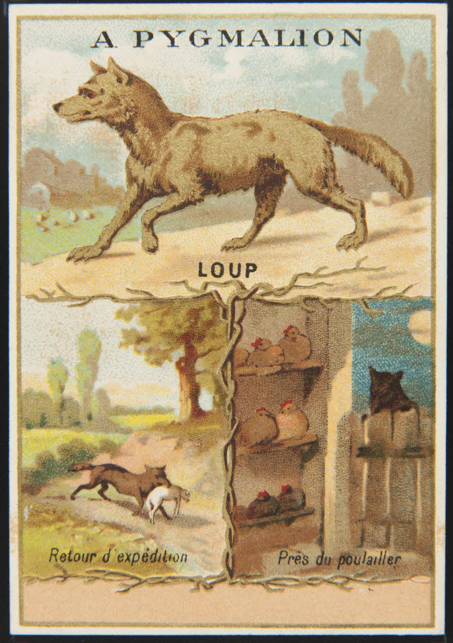 carte réclame chromo 1995.1.4905.5 Photo