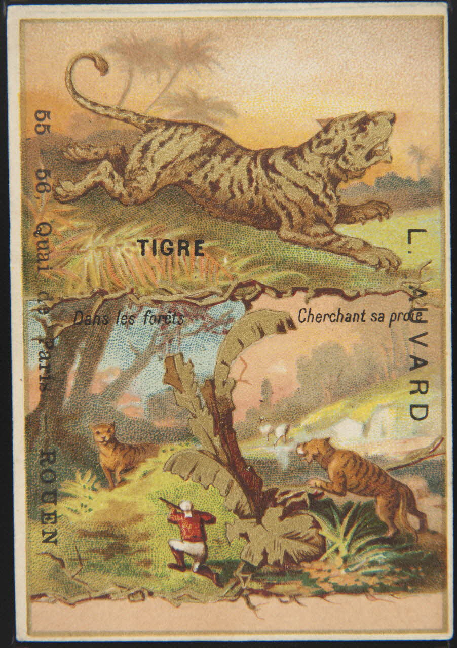 carte réclame chromo 1995.1.4905.6 Photo