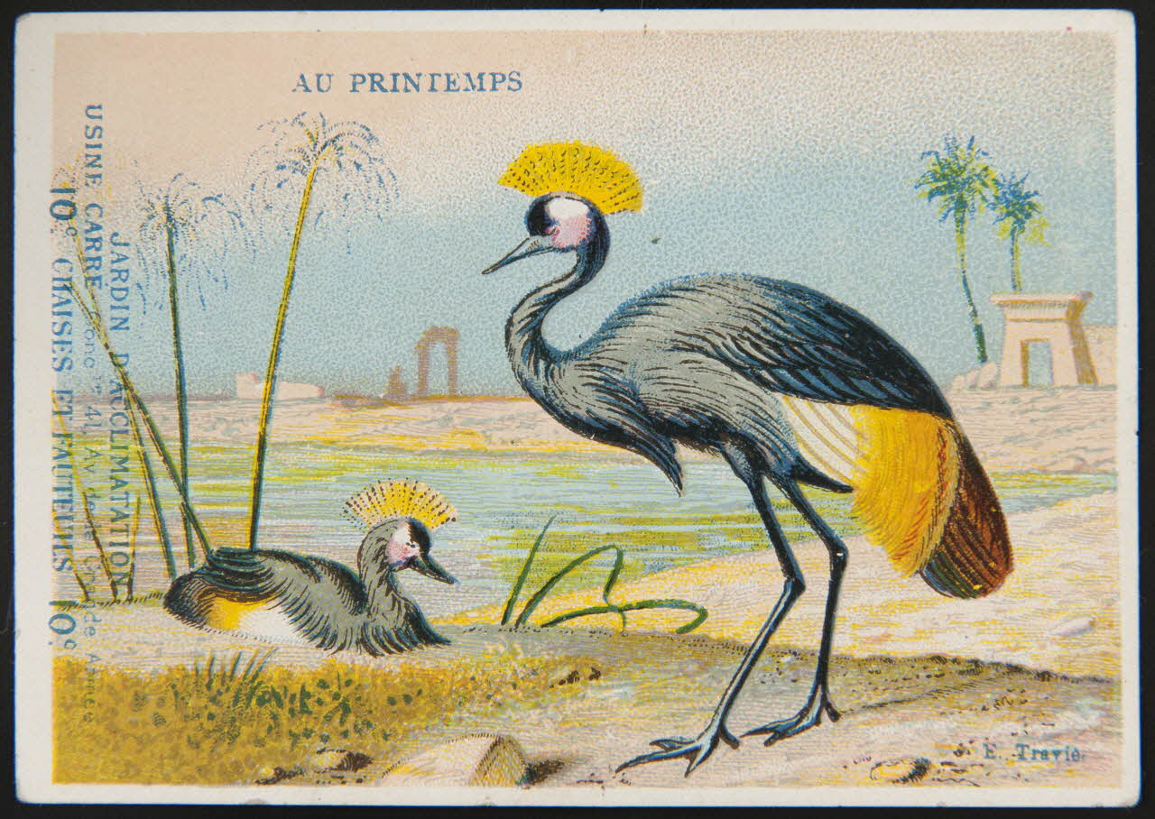 Edouard Traviès carte réclame chromo Paris 1880-1895 1995.1.510.1 Photo