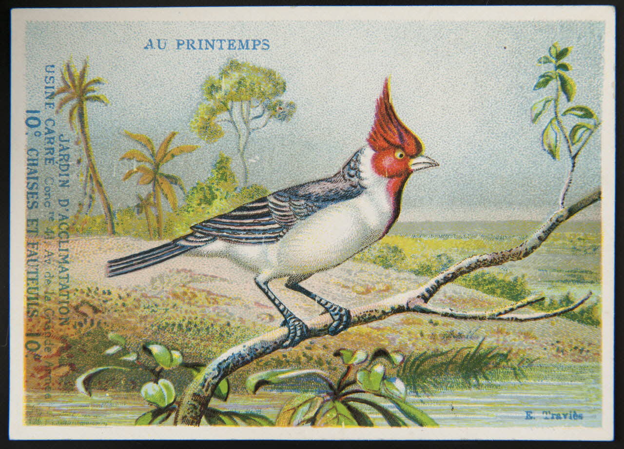 Edouard Traviès carte réclame chromo Paris 1880-1895 1995.1.510.3 Photo