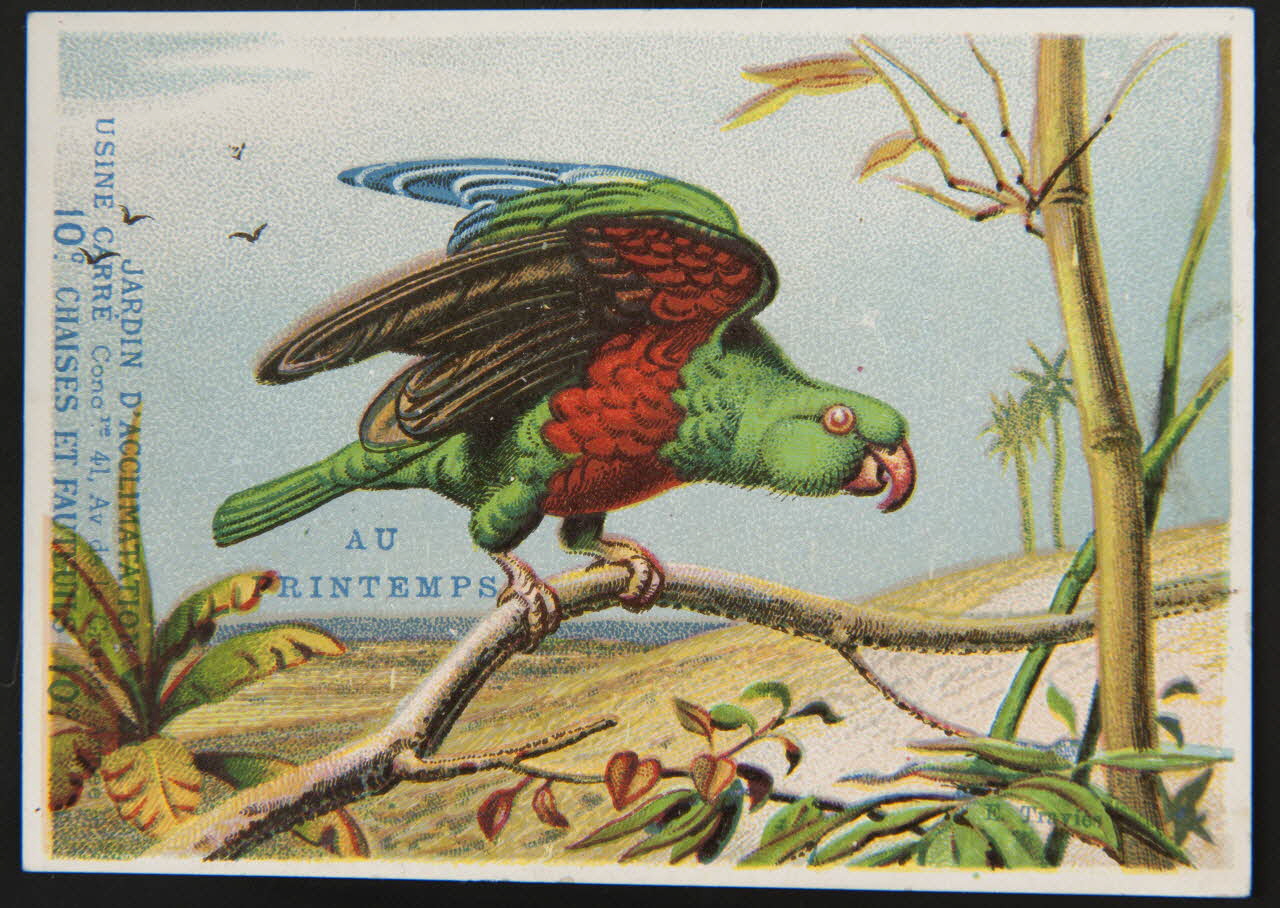 Edouard Traviès carte réclame chromo Paris 1880-1895 1995.1.510.4 Photo