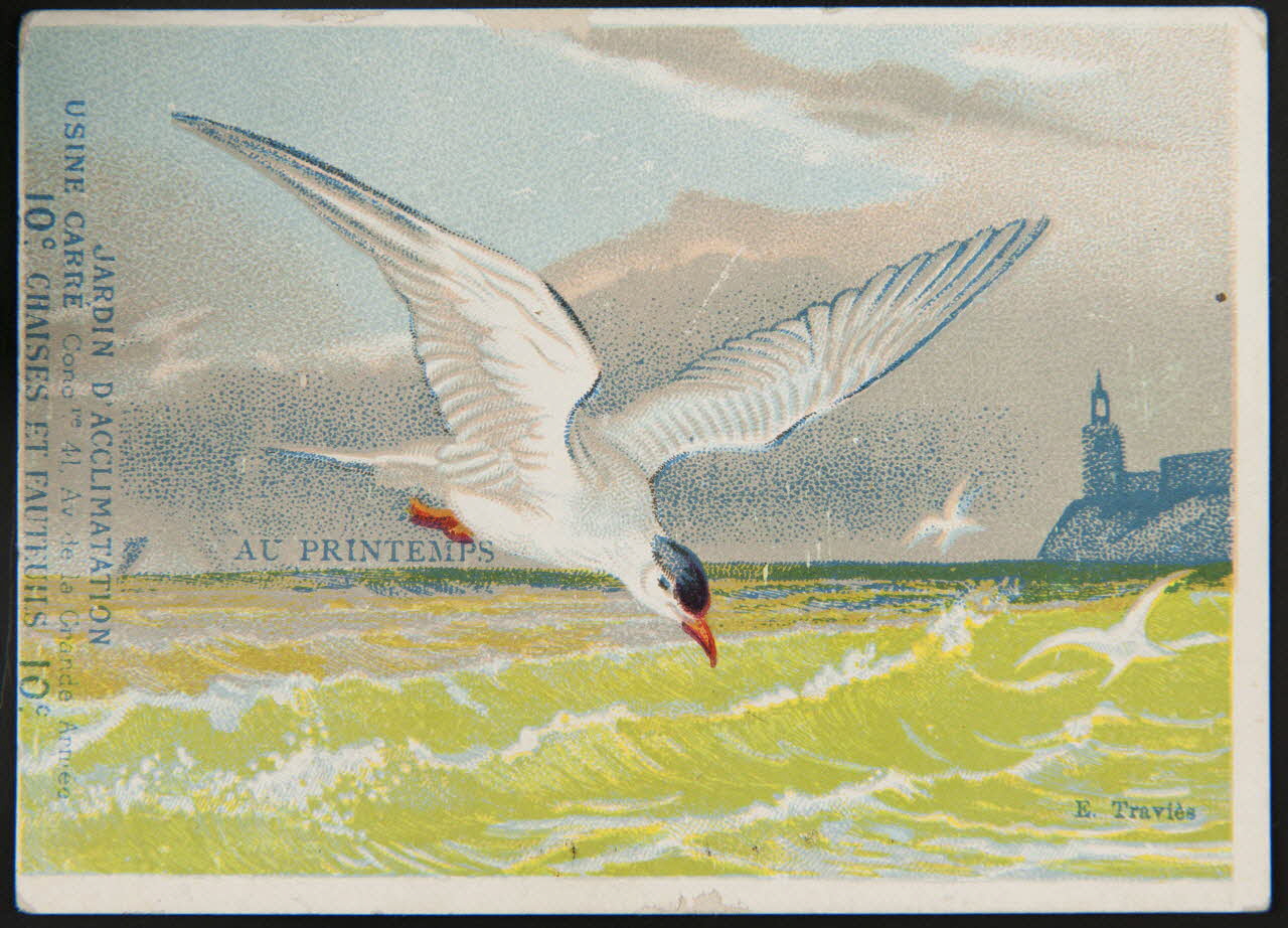 Edouard Traviès carte réclame chromo Paris 1880-1895 1995.1.510.5 Photo