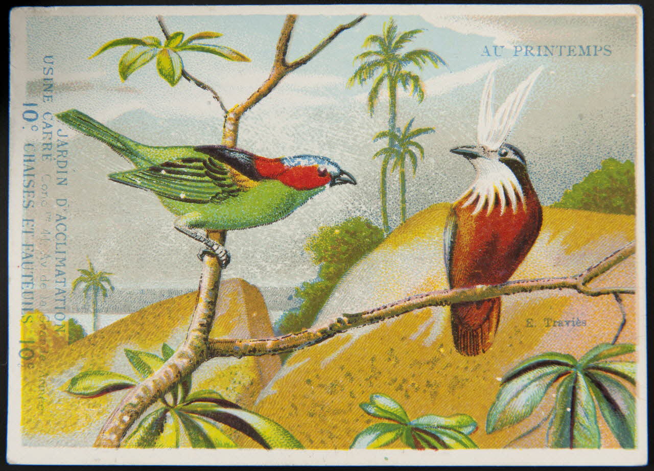 Edouard Traviès carte réclame chromo Paris 1880-1895 1995.1.510.6 Photo