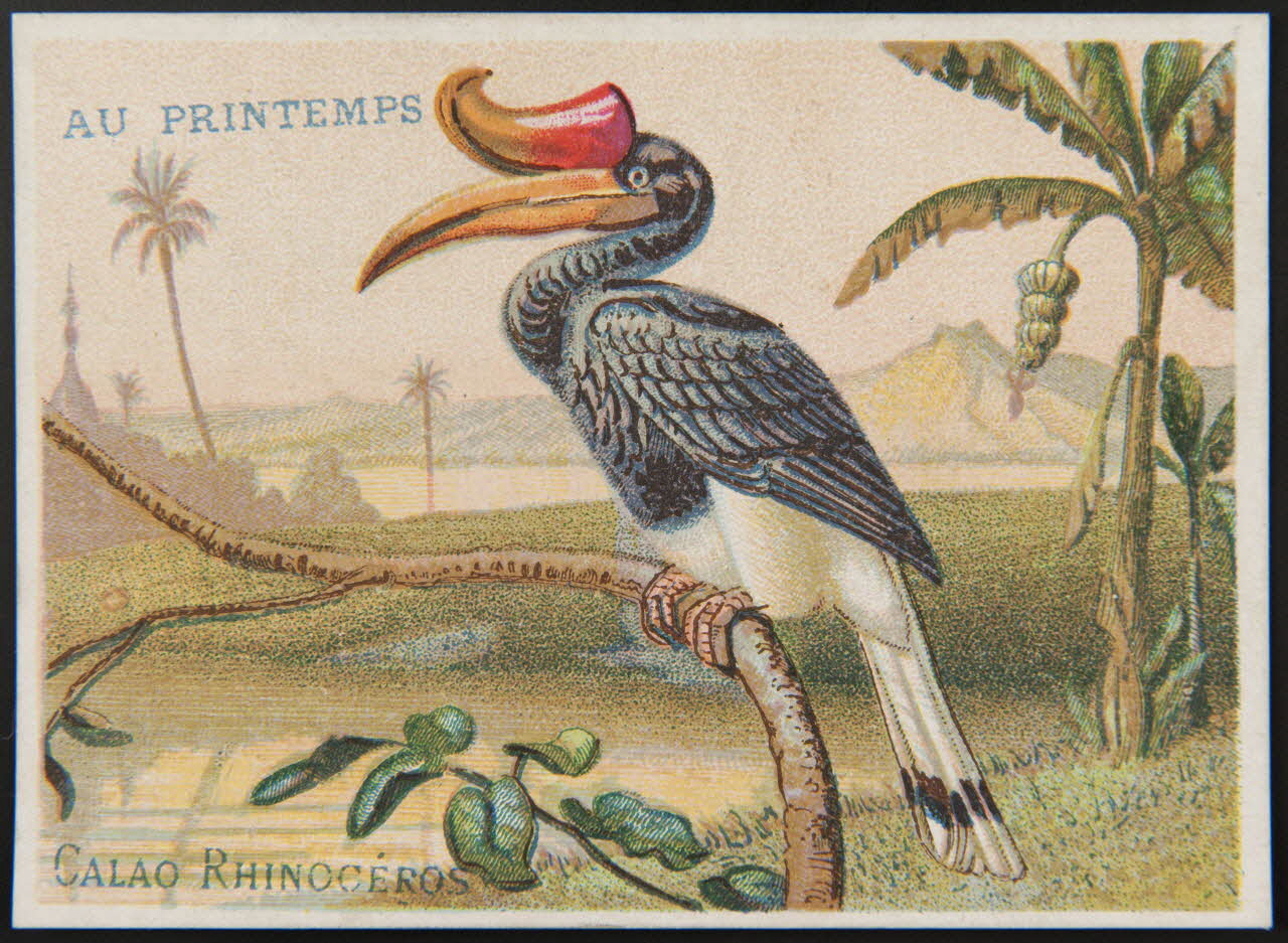 Dangivillé carte réclame chromo Paris 1880-1895 1995.1.511.1 Photo