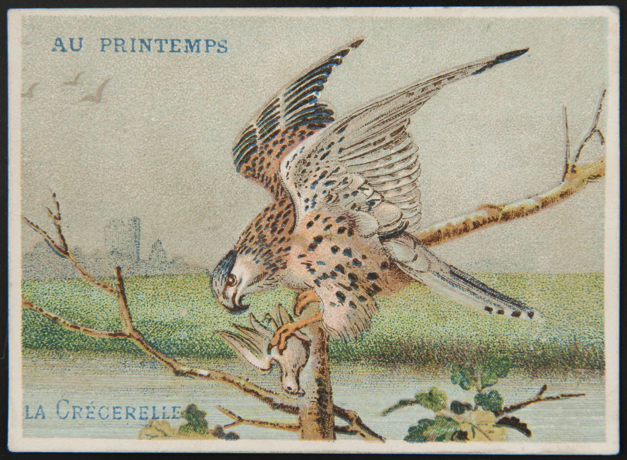 Dangivillé carte réclame chromo Paris 1880-1895 1995.1.511.4 Photo