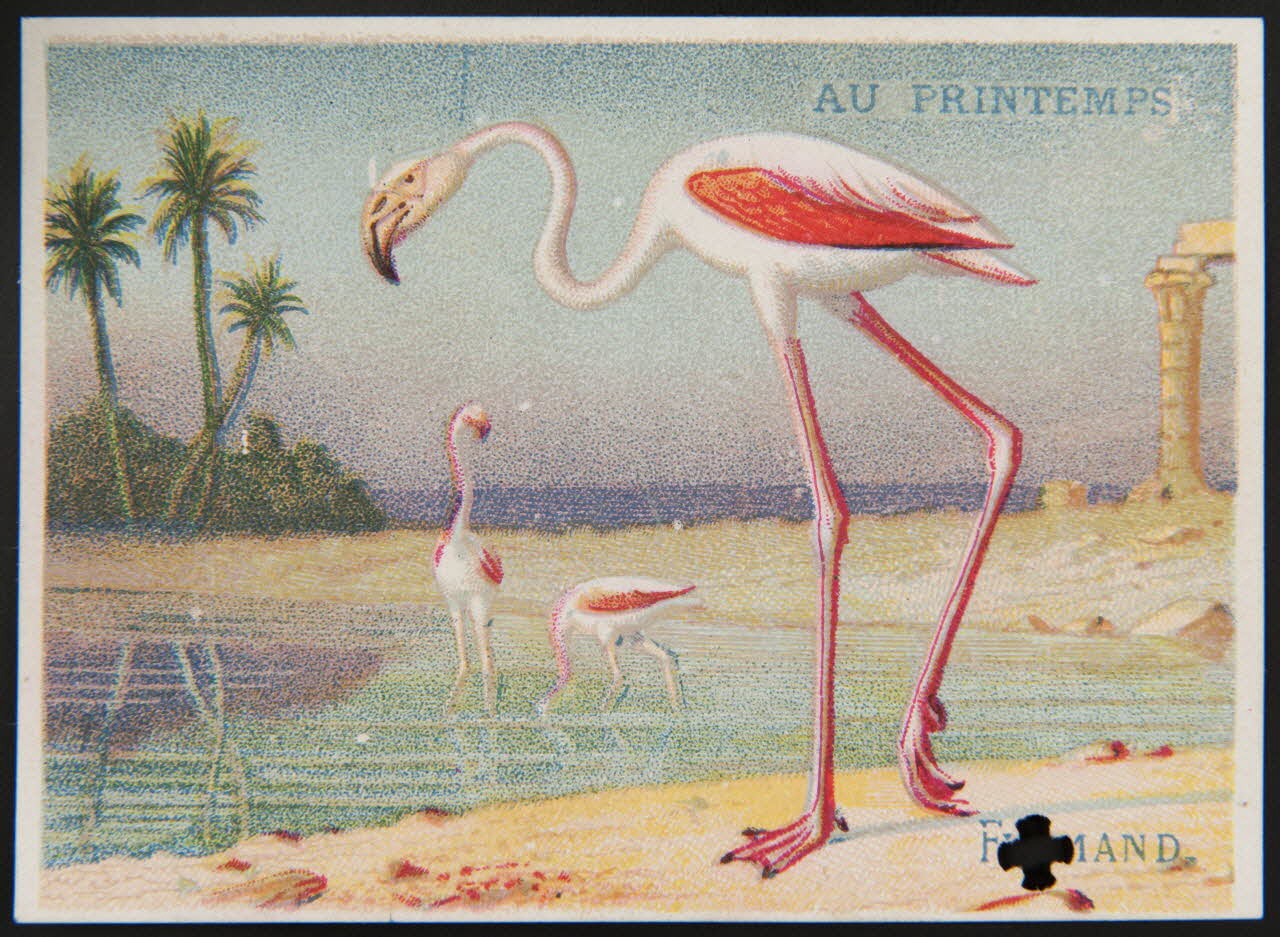 Dangivillé carte réclame chromo Paris 1880-1895 1995.1.511.5 Photo