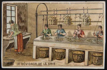 Dupuy carte réclame chromo France 1877-1891 1995.1.526.9 Photo