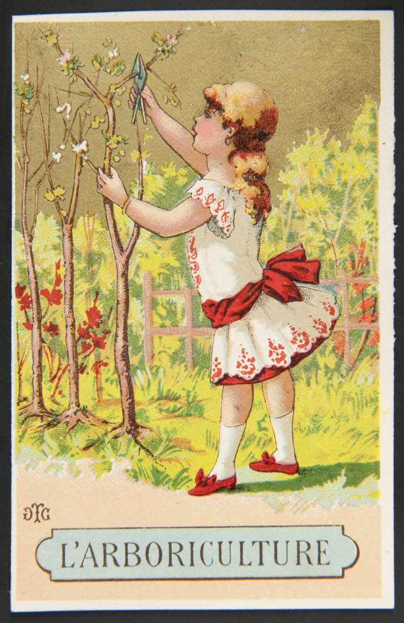 carte réclame chromo 1995.1.529.3 Photo