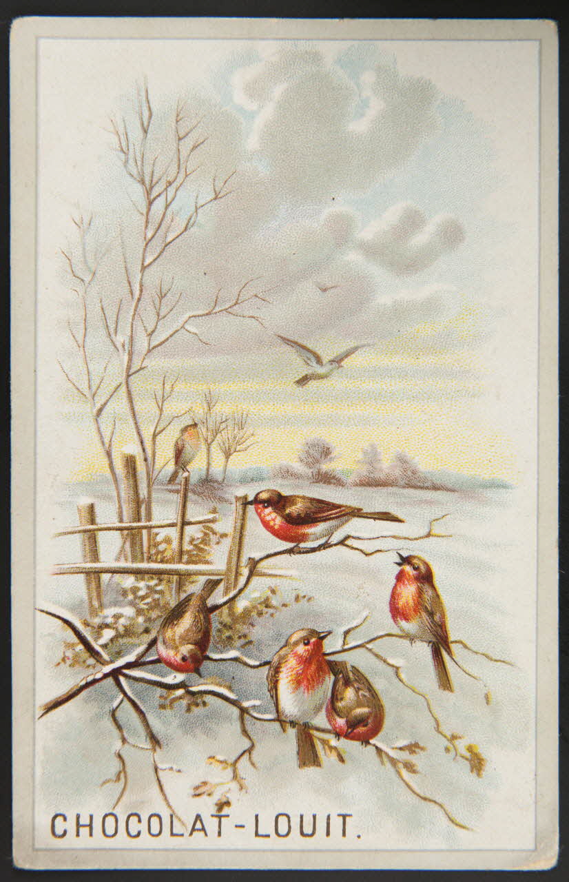 Gombert carte réclame chromo Paris 1890-1918 1995.1.555.4 Photo