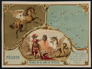 D. Hutinet carte réclame chromo Paris 1880-1920 1995.1.580.10 Photo