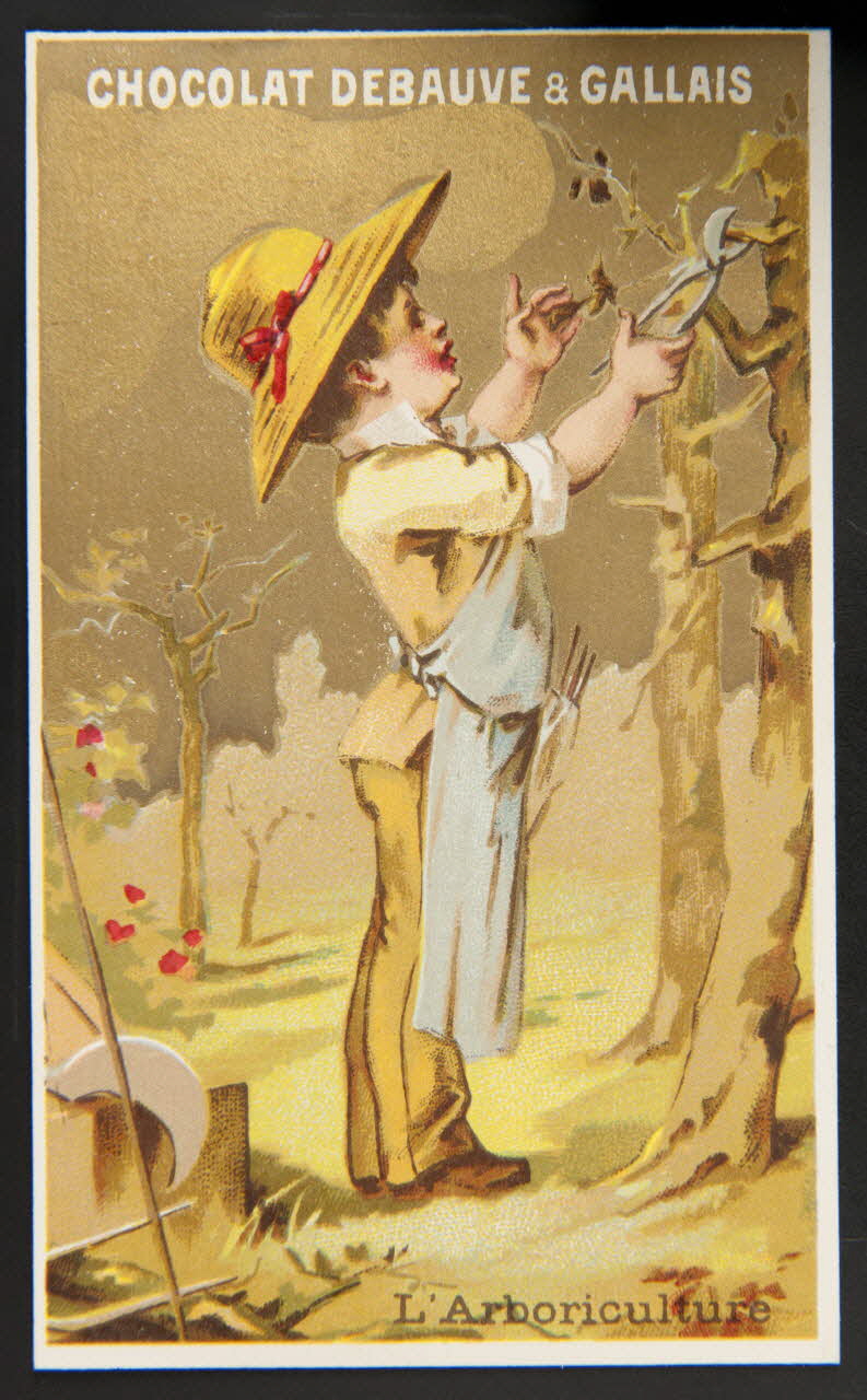 Jehenne carte réclame chromo Paris 1886-1889 1995.1.602.2 Photo