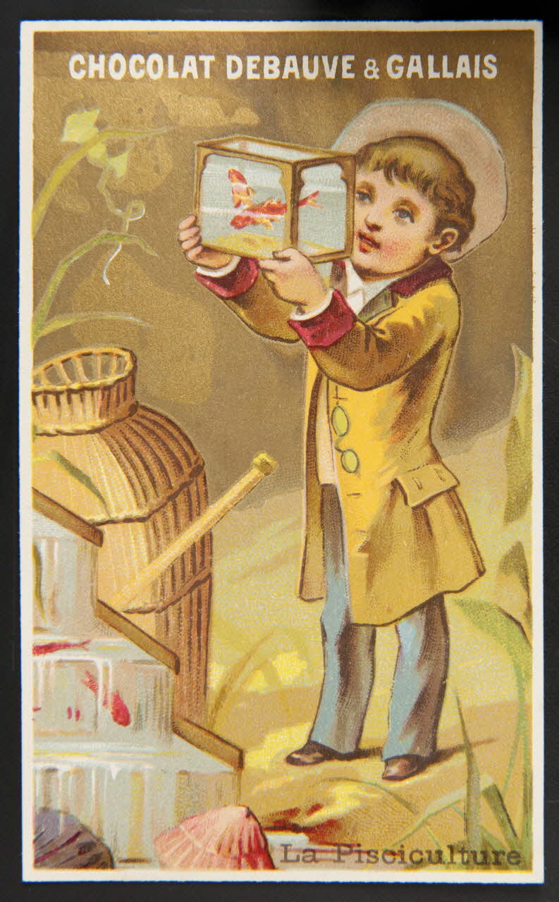 Jehenne carte réclame chromo Paris 1886-1889 1995.1.602.5 Photo