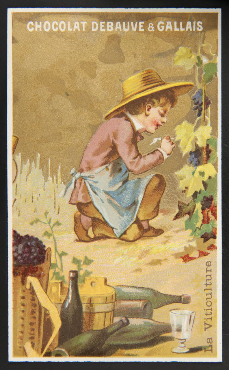 Jehenne carte réclame chromo Paris 1885-1835 1995.1.602.6 Photo