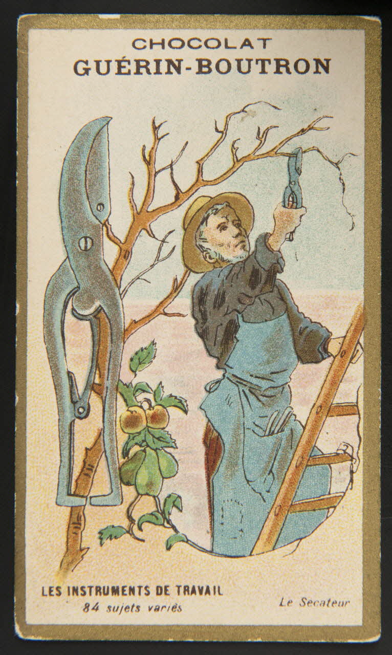 Testu & Massin carte réclame chromo Paris 1886-1903 1995.1.837.66 Photo