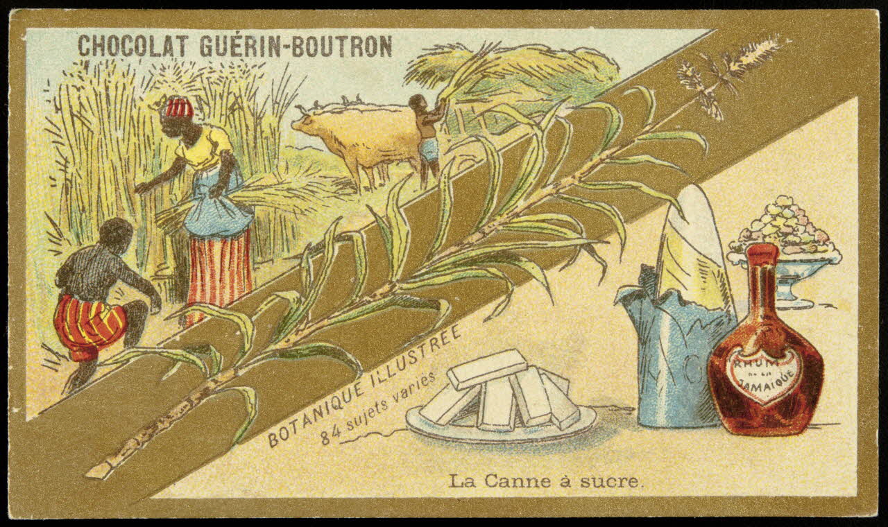 Testu & Massin carte réclame chromo Paris 1900-1903 1995.1.854.11 Photo