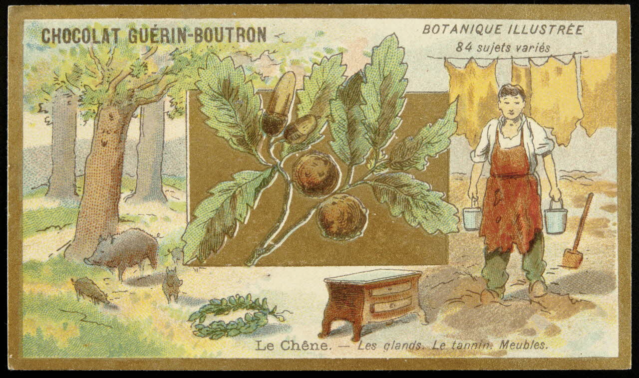 Testu & Massin carte réclame chromo Paris 1900-1903 1995.1.854.17 Photo