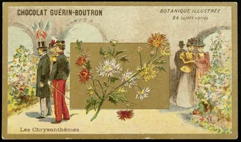 Testu & Massin carte réclame chromo Paris 1900-1903 1995.1.854.19 Photo