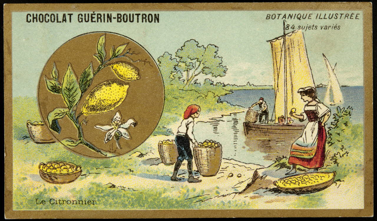 Testu & Massin carte réclame chromo Paris 1900-1903 1995.1.854.20 Photo