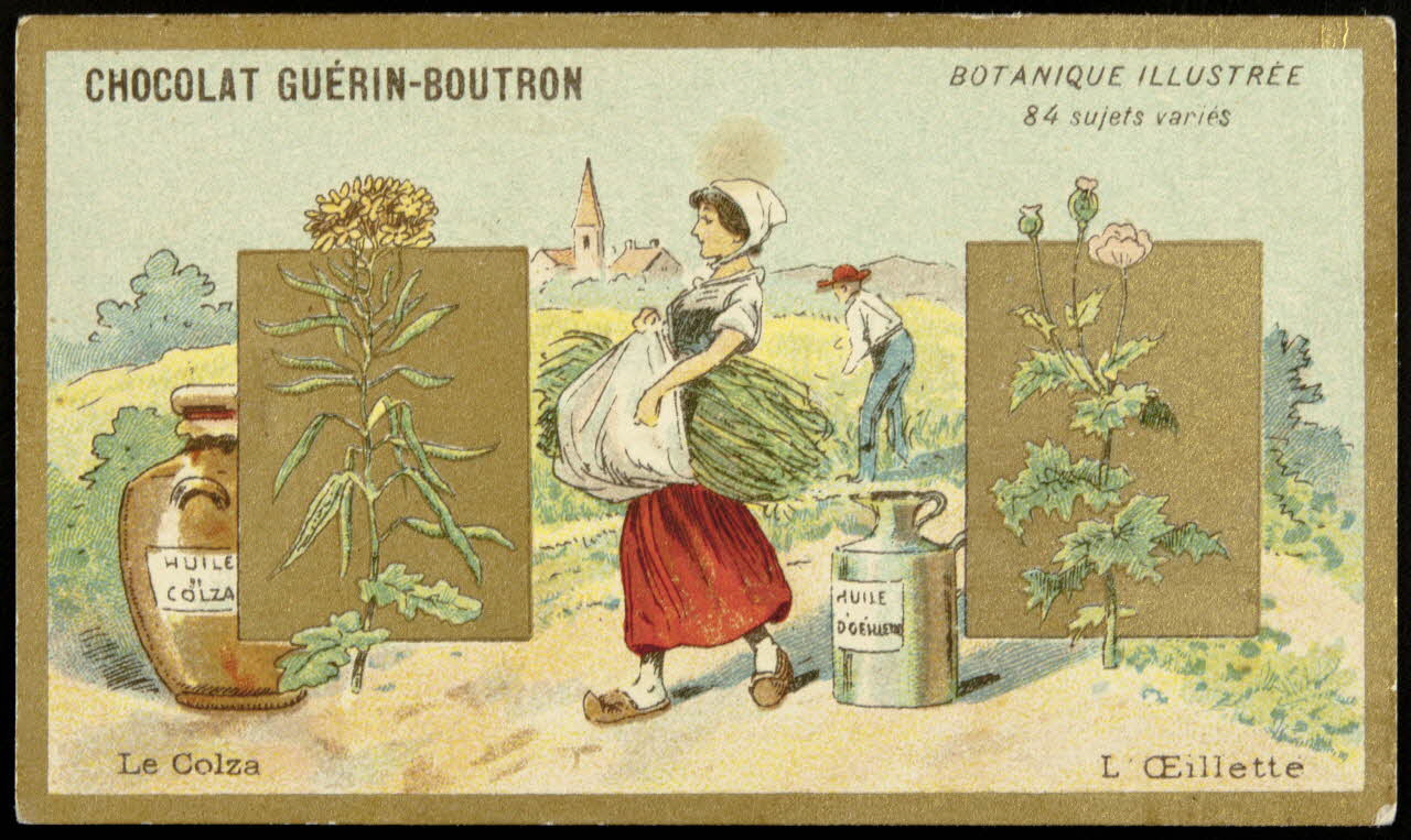 Testu & Massin carte réclame chromo Paris 1900-1903 1995.1.854.23 Photo