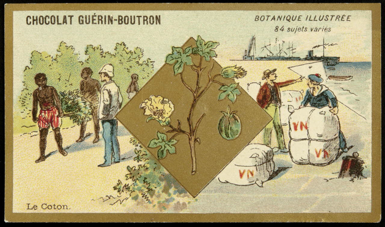 Testu & Massin carte réclame chromo Paris 1900-1903 1995.1.854.24 Photo