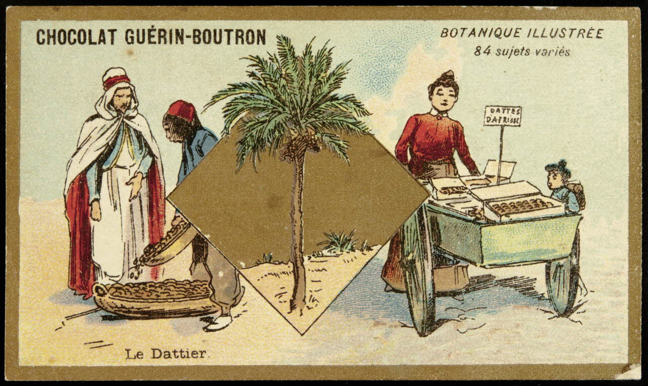 Testu & Massin carte réclame chromo Paris 1900-1903 1995.1.854.26 Photo