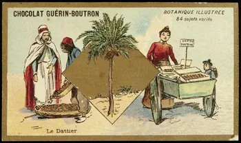 Testu & Massin carte réclame chromo Paris 1900-1903 1995.1.854.26 Photo