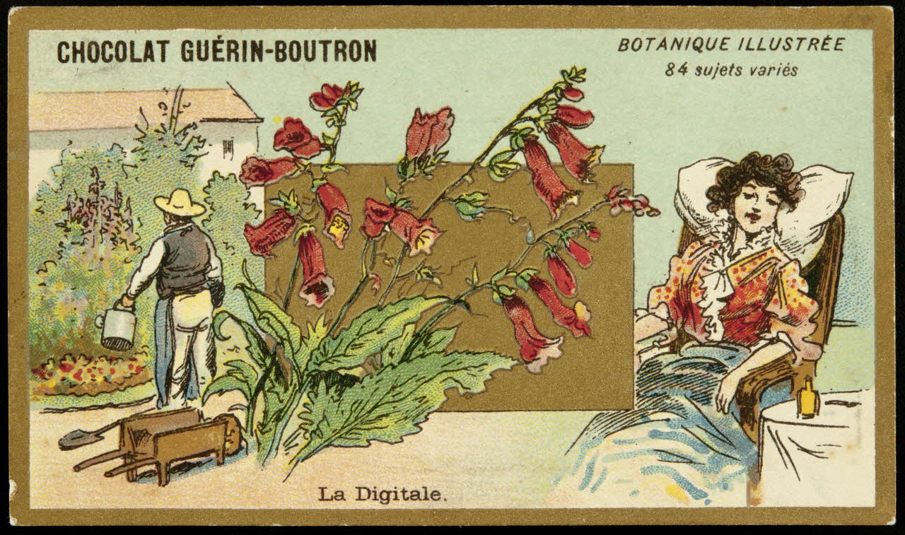 Testu & Massin carte réclame chromo Paris 1900-1903 1995.1.854.27 Photo