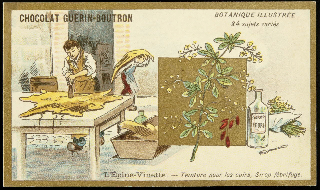 Testu & Massin carte réclame chromo Paris 1900-1903 1995.1.854.29 Photo