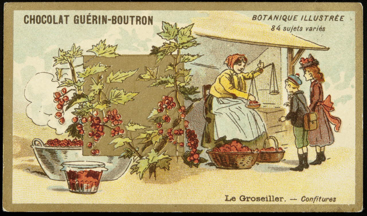 Testu & Massin carte réclame chromo Paris 1900-1903 1995.1.854.34 Photo