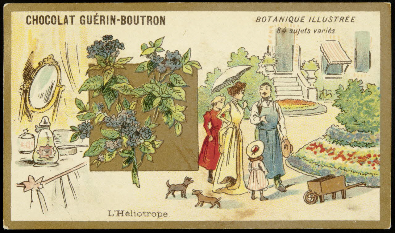 Testu & Massin carte réclame chromo Paris 1900-1903 1995.1.854.35 Photo