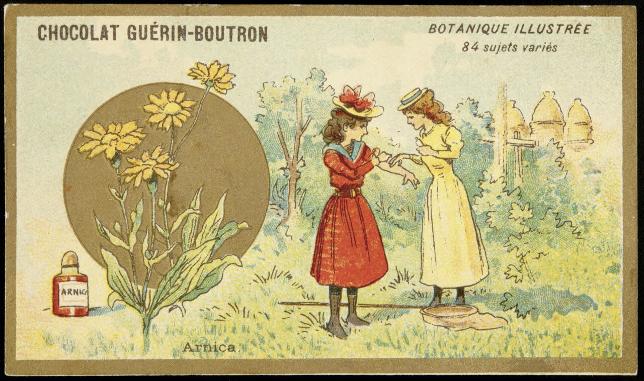 Testu & Massin carte réclame chromo Paris 1900-1903 1995.1.854.4 Photo