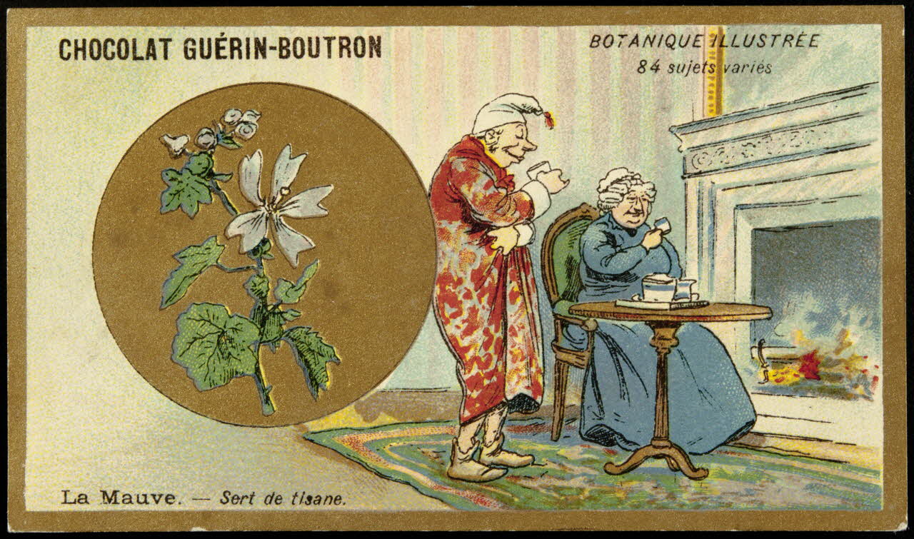 Testu & Massin carte réclame chromo Paris 1900-1903 1995.1.854.42  Photo