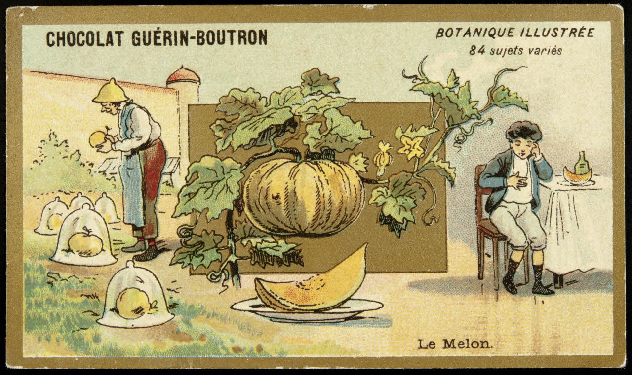 Testu & Massin carte réclame chromo Paris 1900-1903 1995.1.854.43 Photo