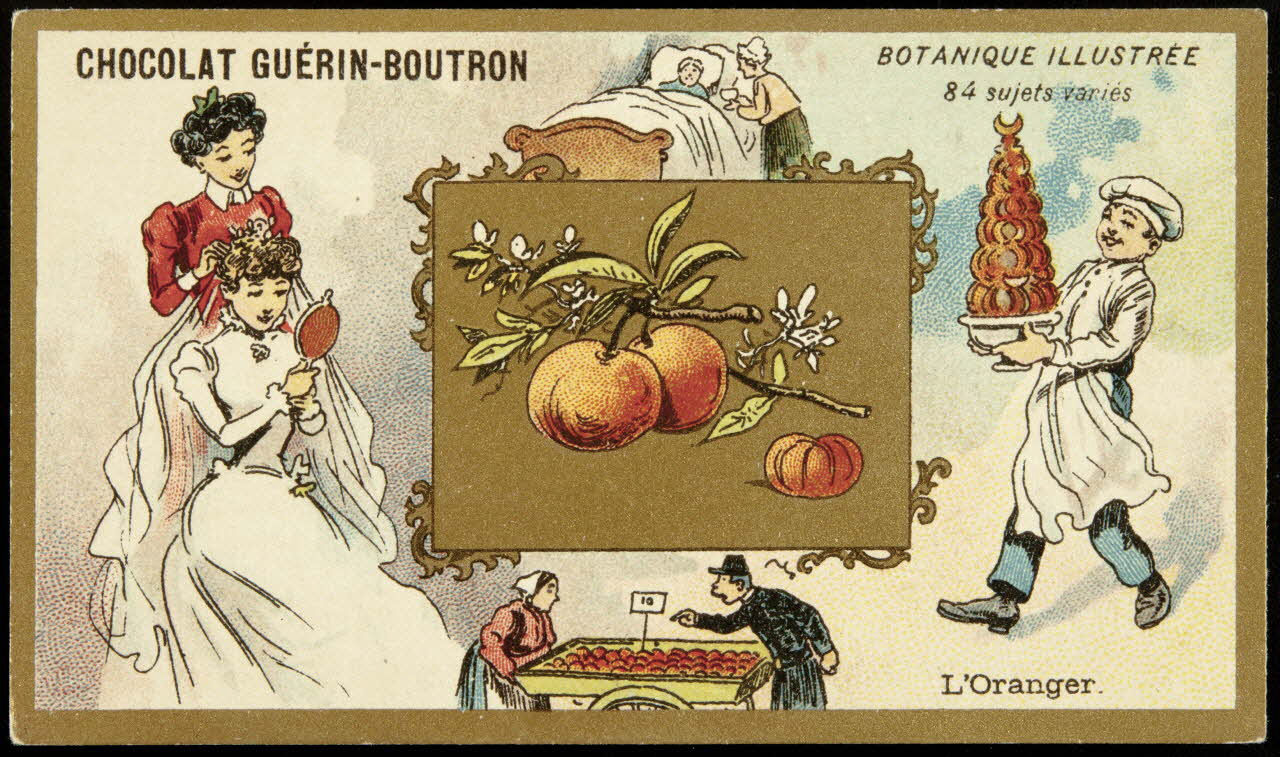 Testu & Massin carte réclame chromo Paris 1900-1903 1995.1.854.48 Photo